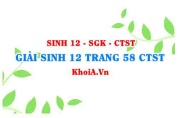 Giải Sinh 12 trang 58 Chân trời Sáng tạo